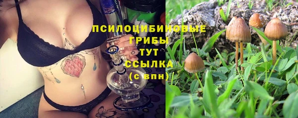 хмурый Армянск