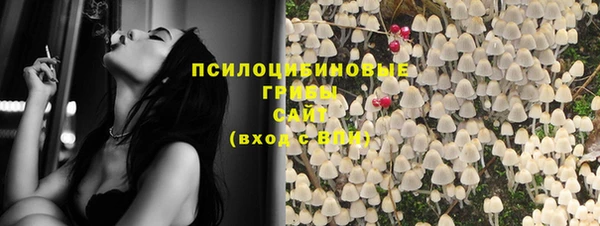 тгк Балахна