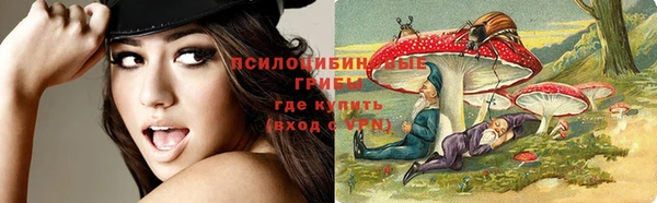 меф Арсеньев