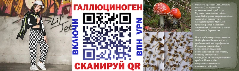 Псилоцибиновые грибы мухоморы  купить  сайты  Сорск 