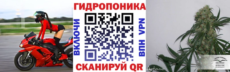 mega зеркало  Сорск  Каннабис план 